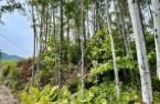 Terre/Terrain