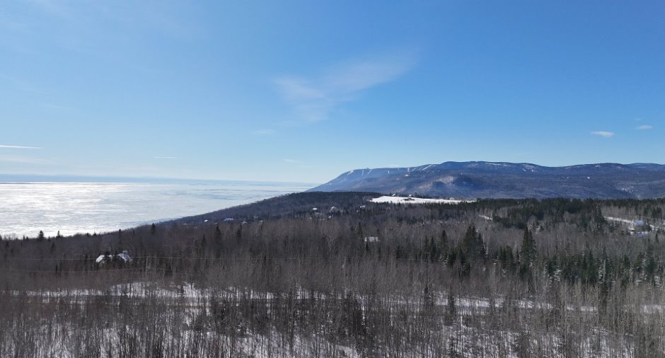 Vue