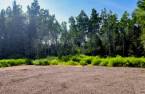 Terre/Terrain