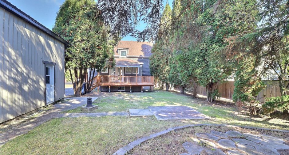 Backyard