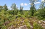 Terre/Terrain