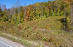 Land/Lot
