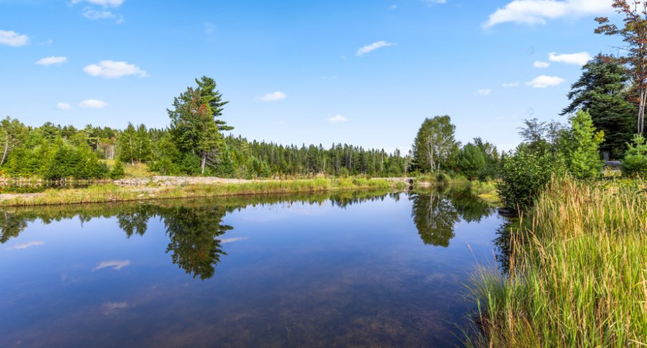 Vue sur l'eau