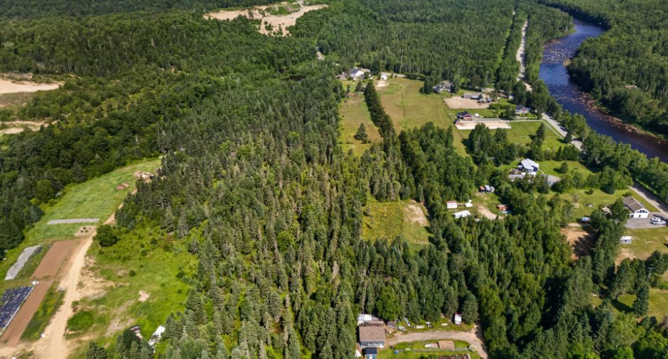 Vue d'ensemble