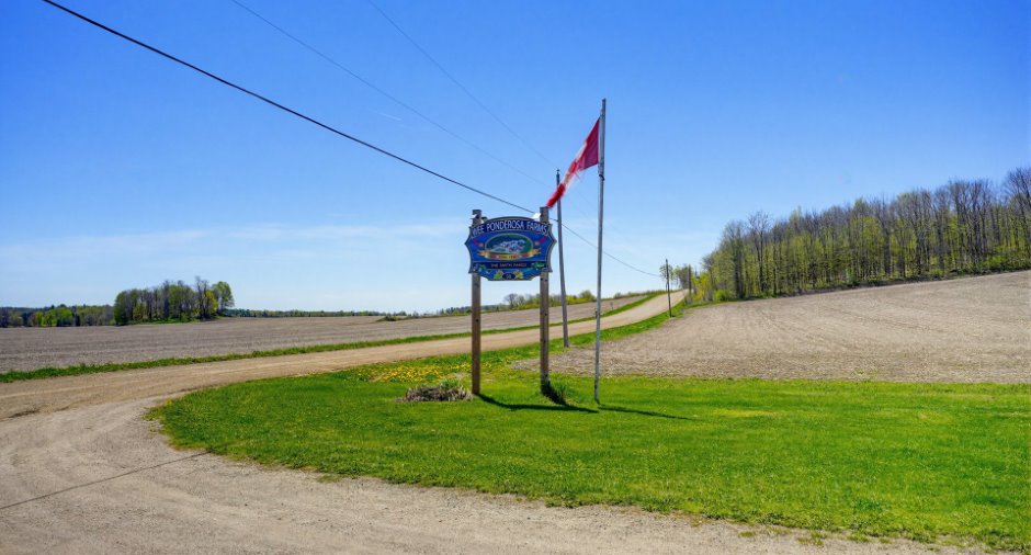Land/Lot