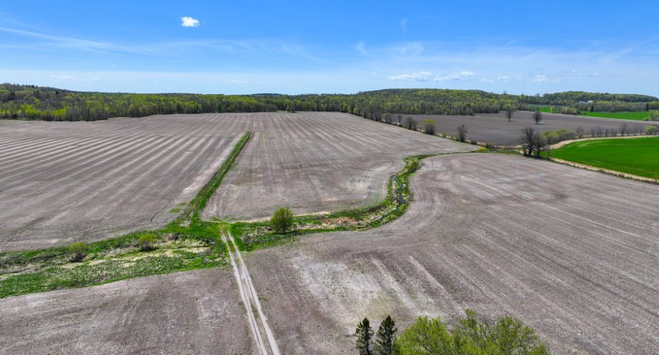 Land/Lot