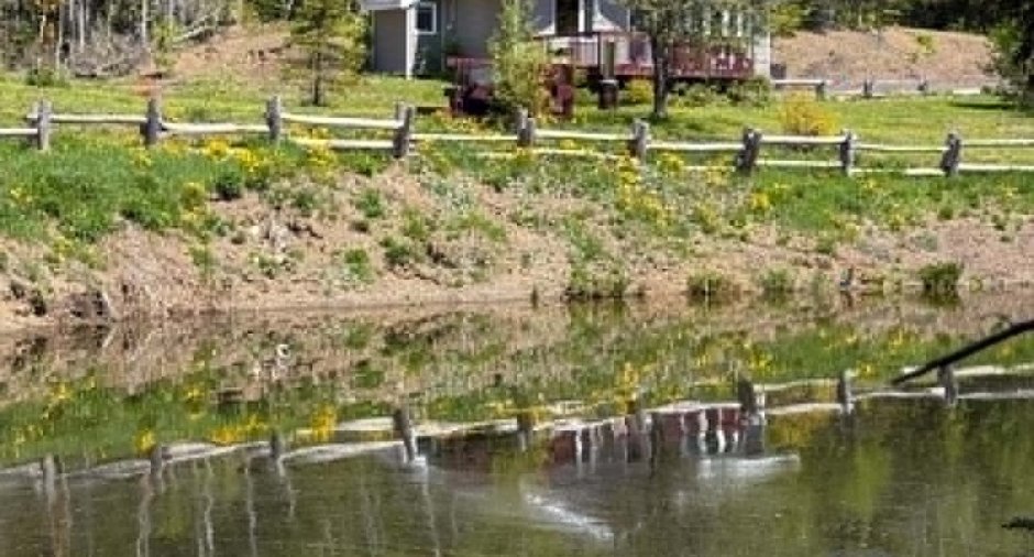 Vue sur l'eau