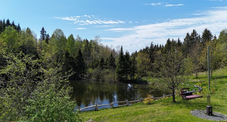 Vue sur l'eau