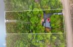 Terre/Terrain