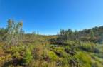 Terre/Terrain