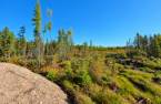 Terre/Terrain