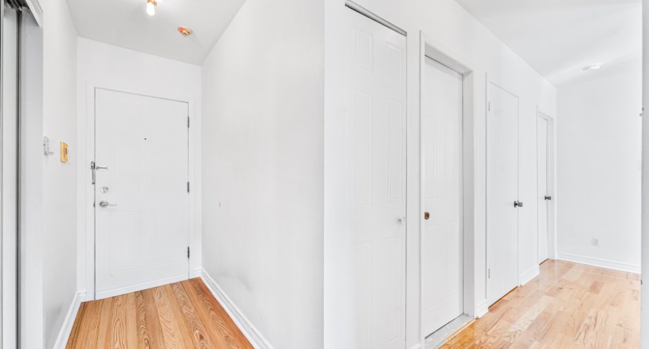 Hall d’entrée/Vestibule