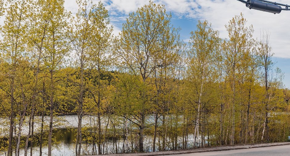 Vue sur l'eau