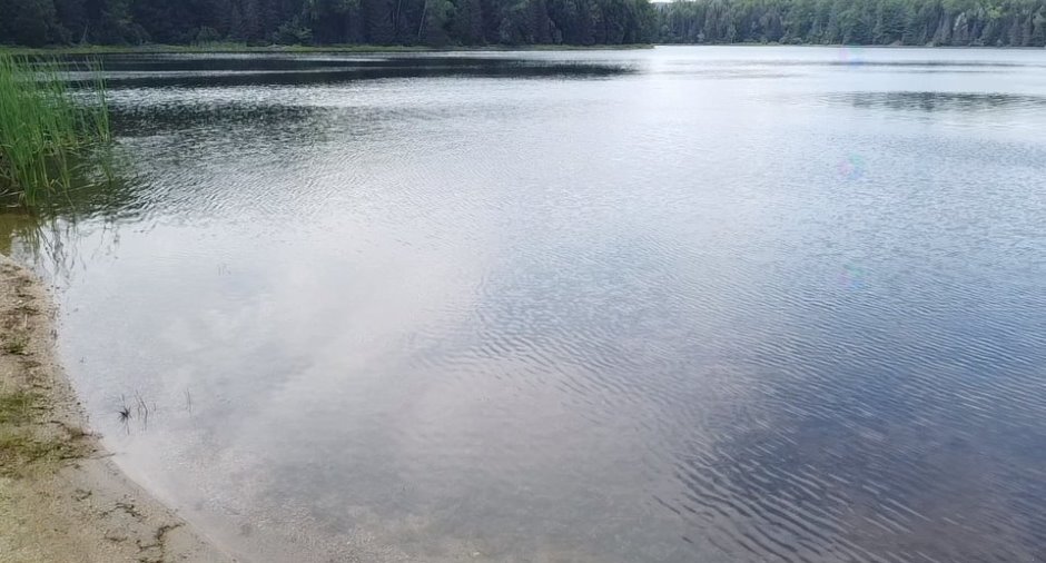 Bord de l'eau