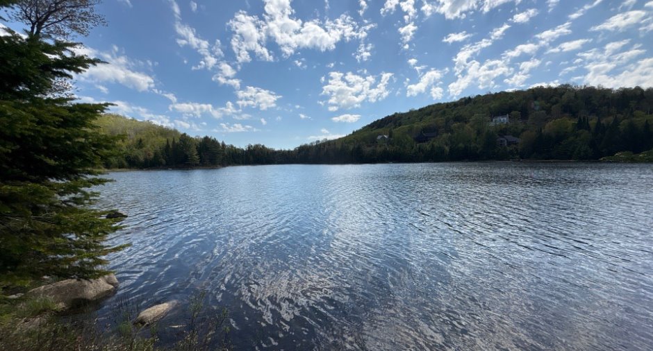 Bord de l'eau