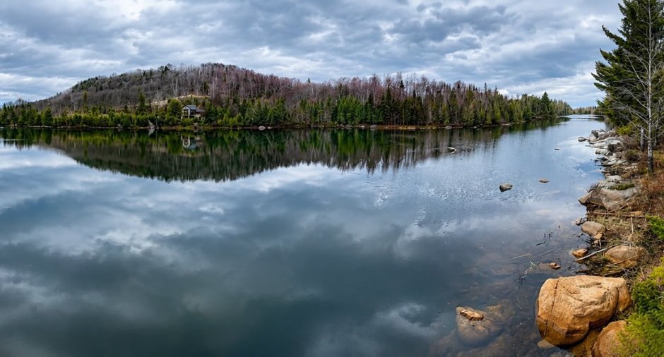 Bord de l'eau