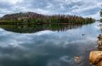 Bord de l'eau