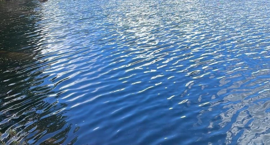 Bord de l'eau
