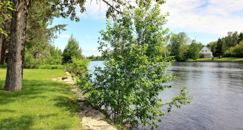 Vue sur l'eau