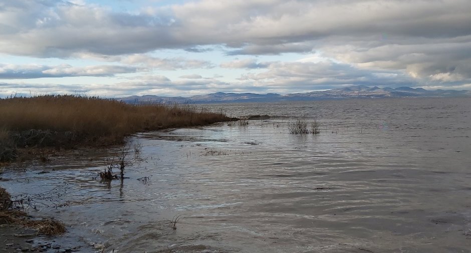 Bord de l'eau