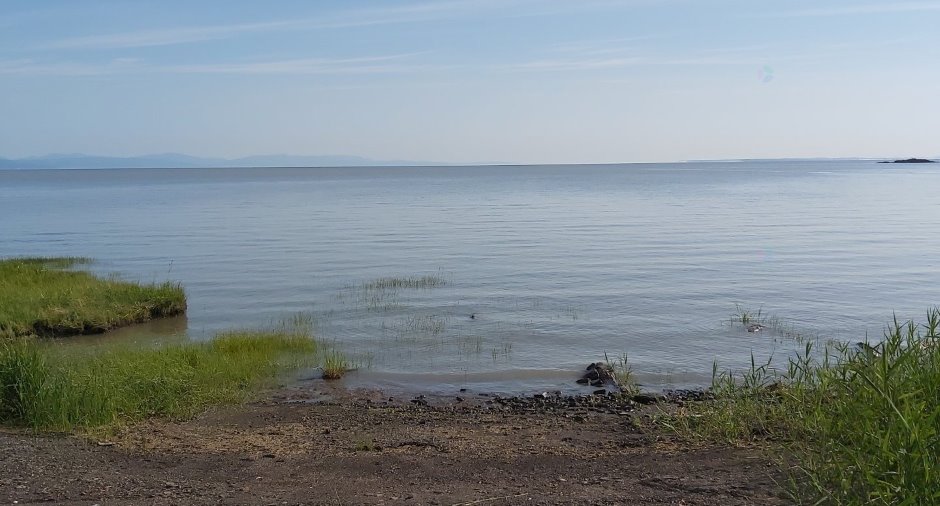 Bord de l'eau