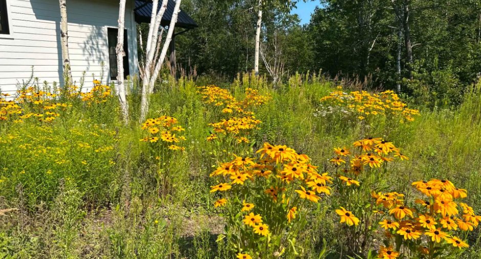 Terre/Terrain