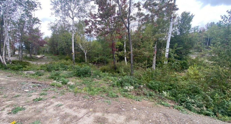 Terre/Terrain