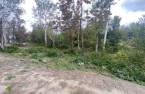 Terre/Terrain