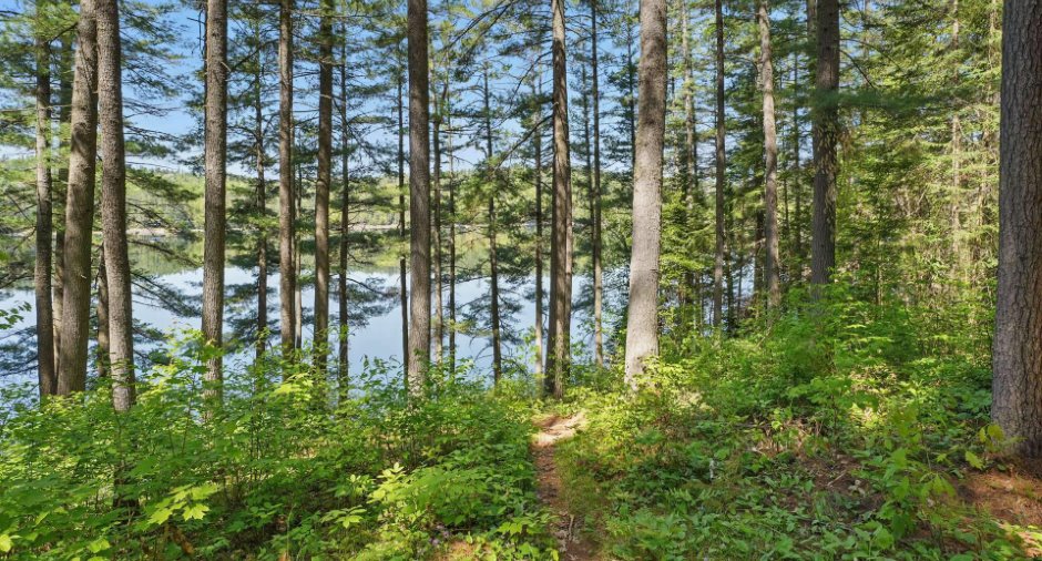 Land/Lot