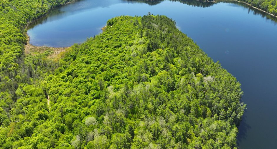 Aerial photo