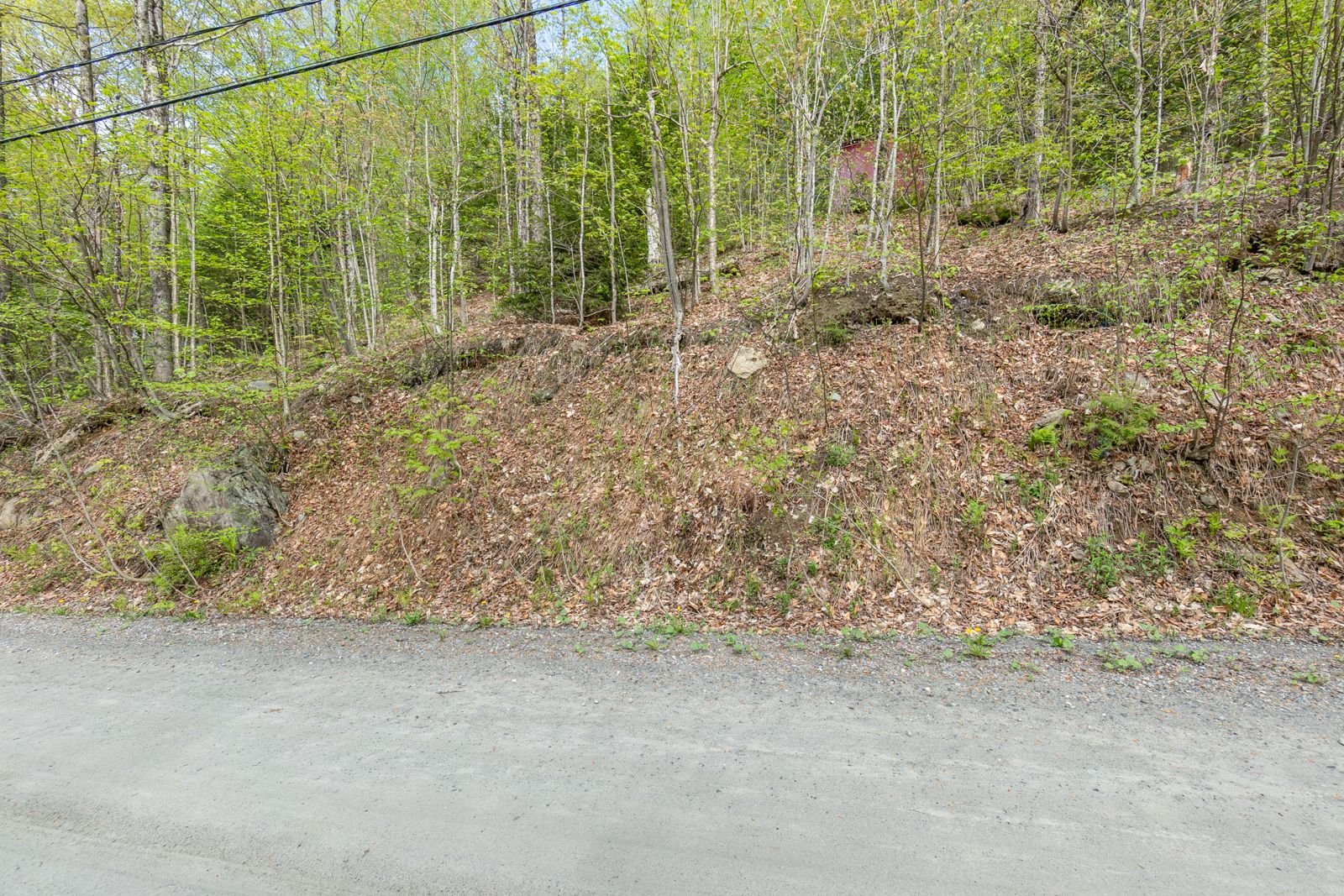 Land/Lot