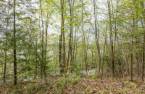 Terre/Terrain
