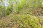 Terre/Terrain