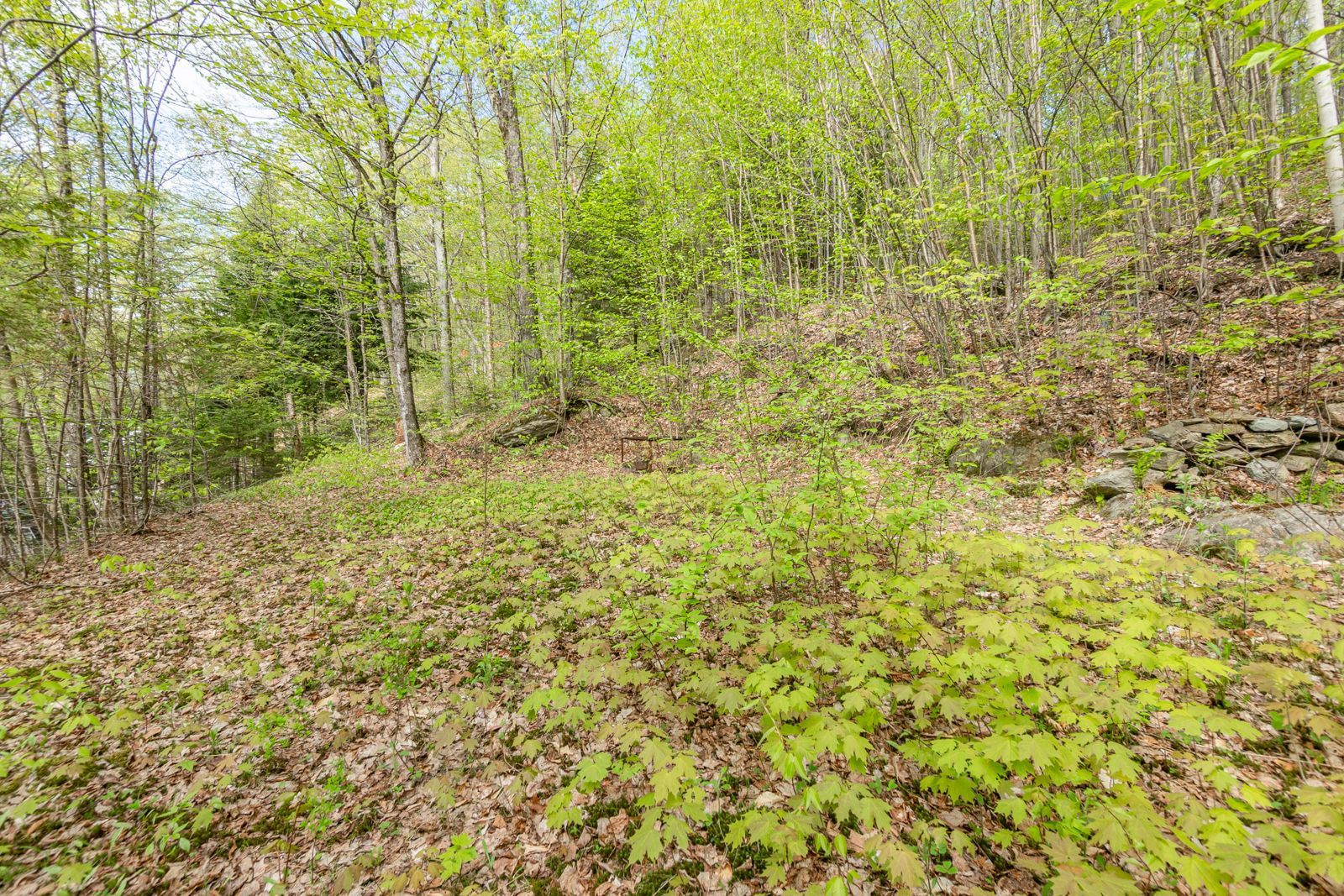 Land/Lot