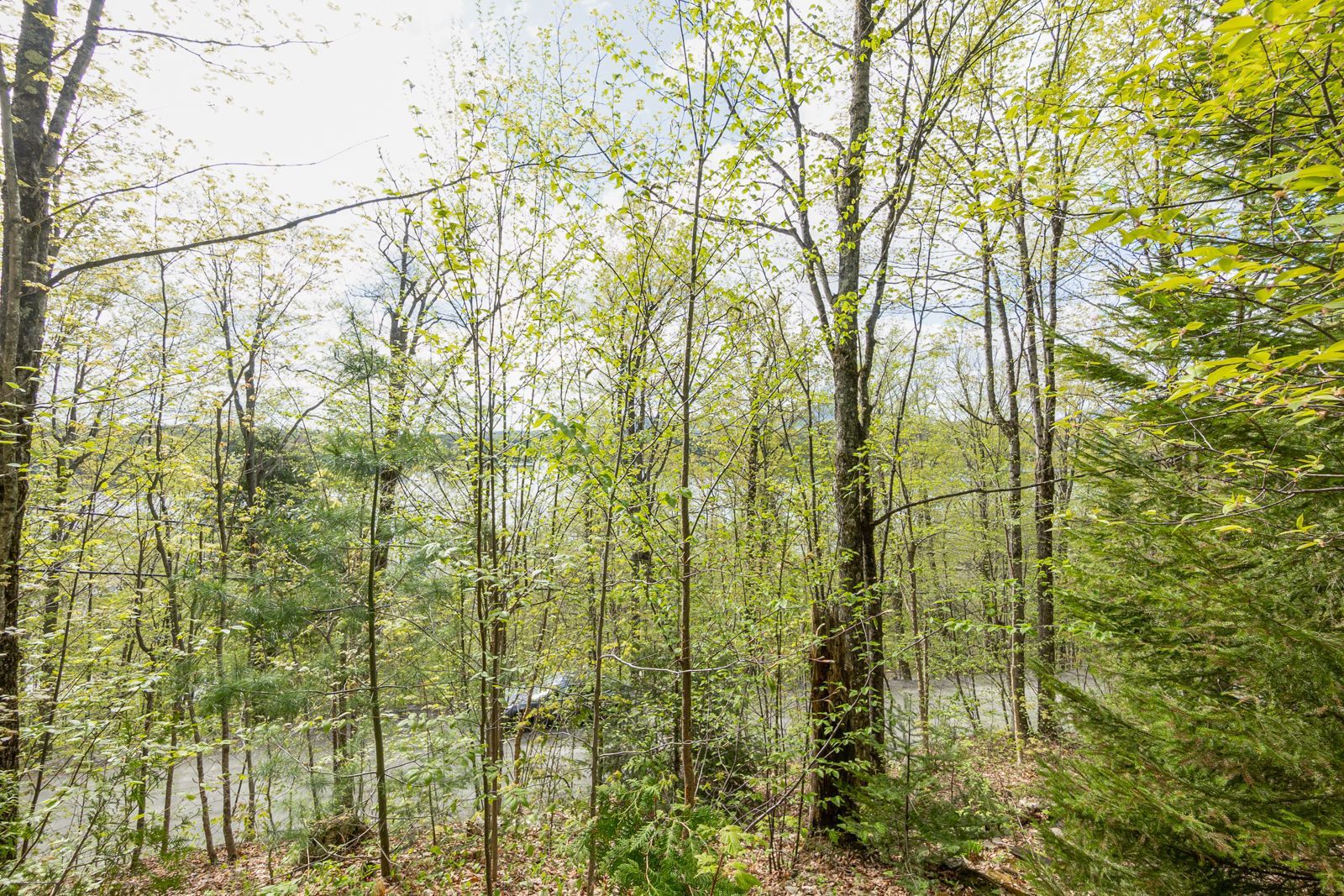 Land/Lot