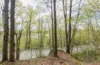 Terre/Terrain