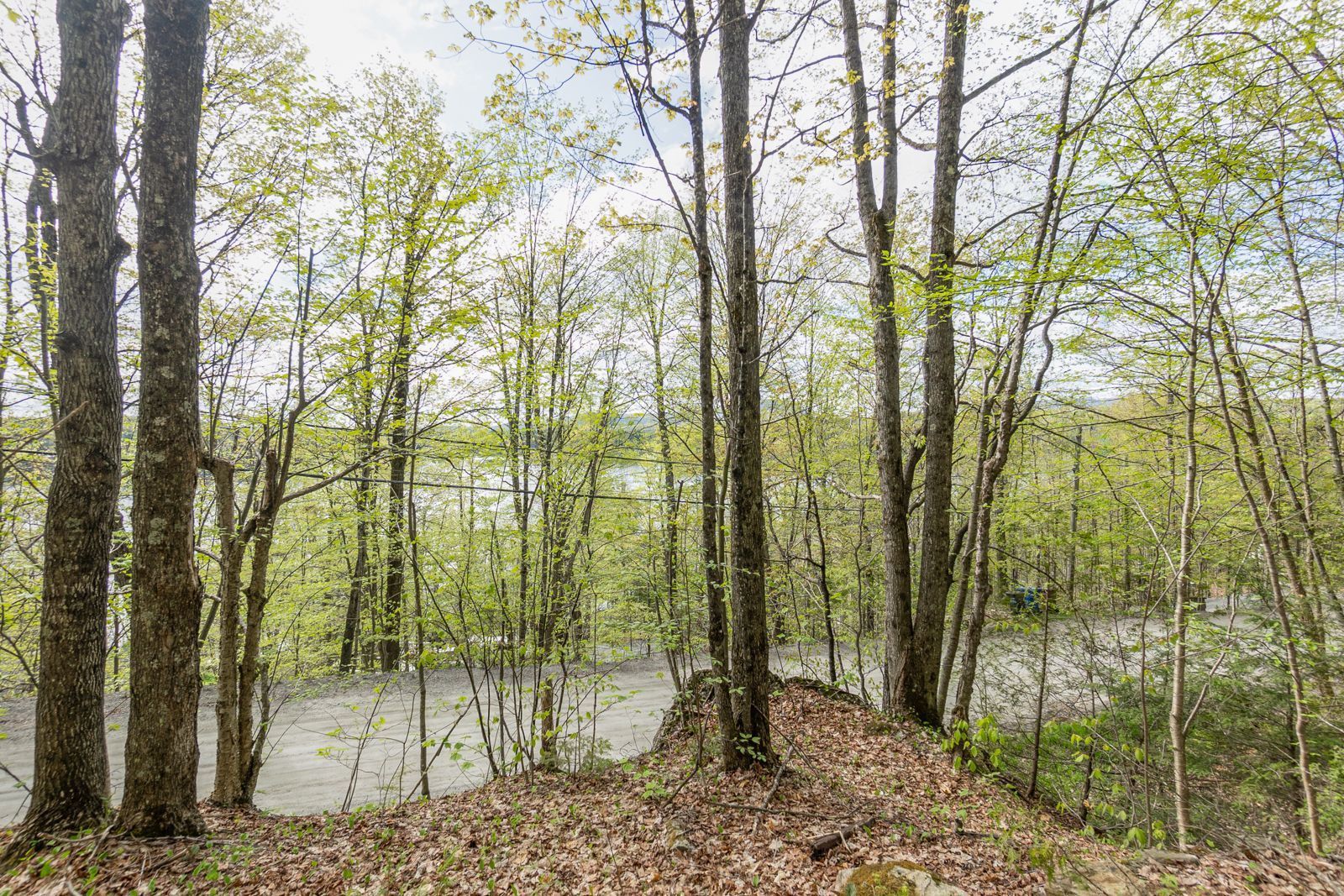 Land/Lot