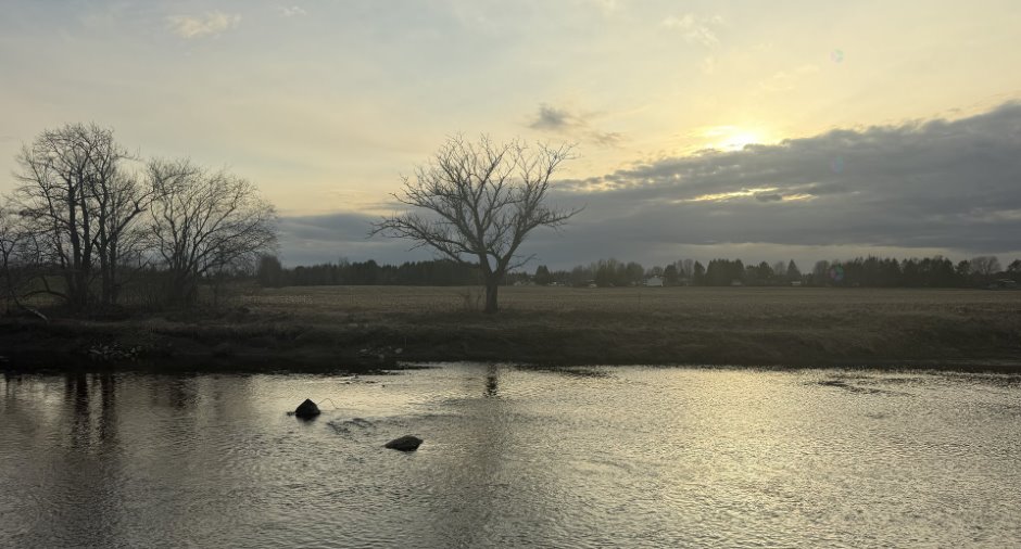 Water view