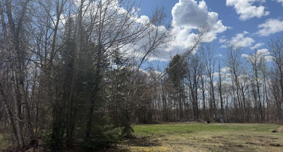 Land/Lot