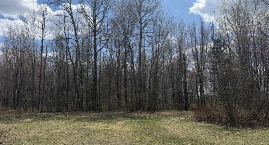 Land/Lot