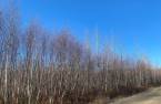 Terre/Terrain