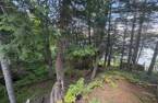 Terre/Terrain