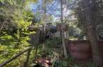 Terre/Terrain