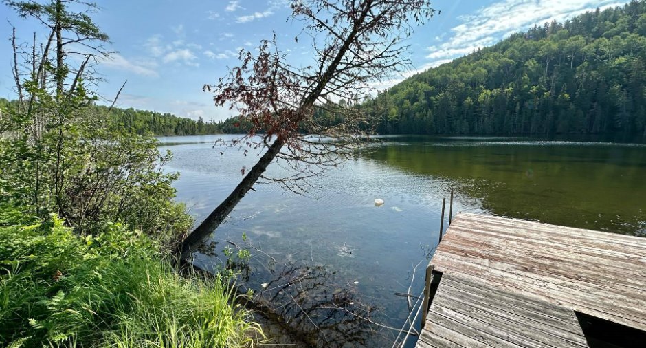 Bord de l'eau