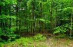 Terre/Terrain