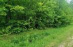 Terre/Terrain