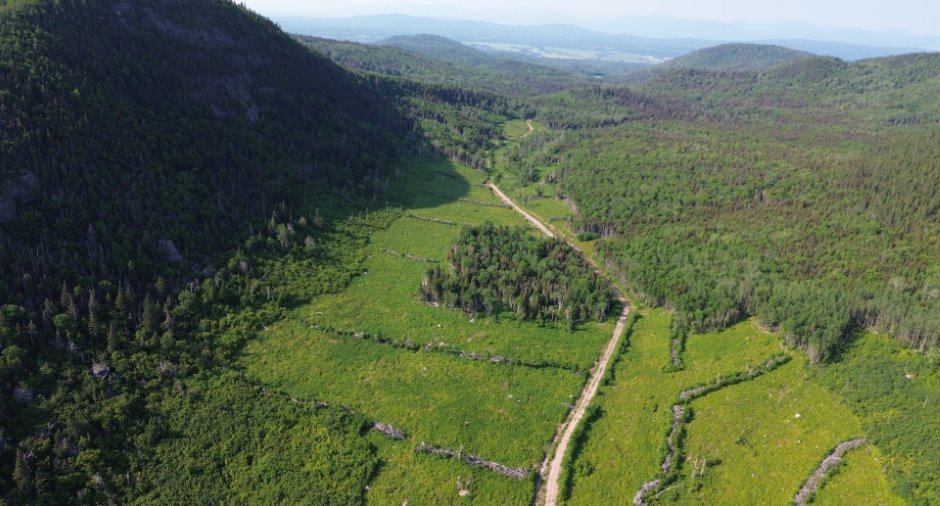 Aerial photo