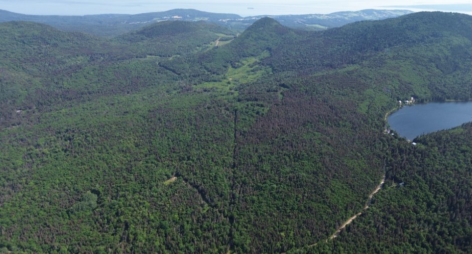 Aerial photo