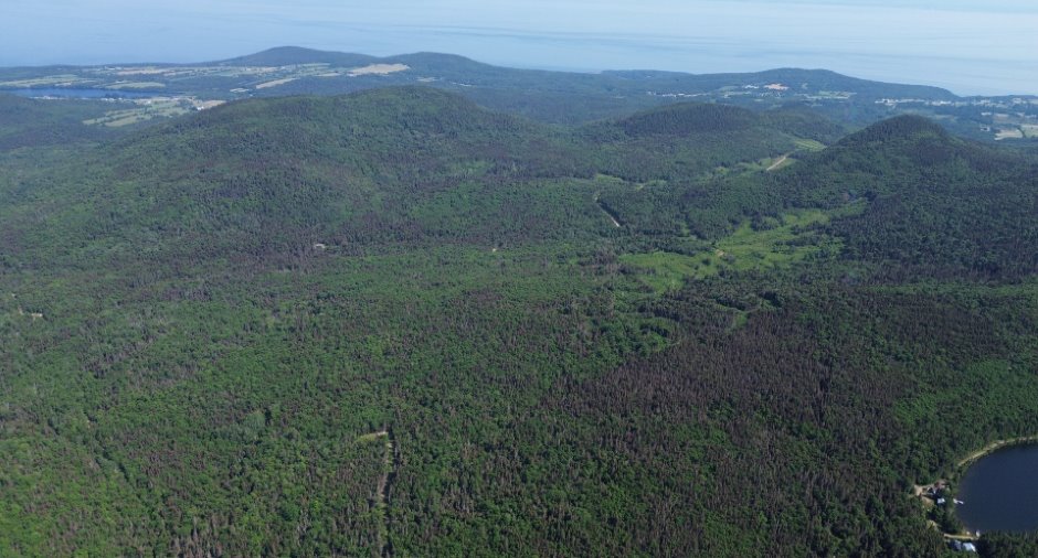 Aerial photo