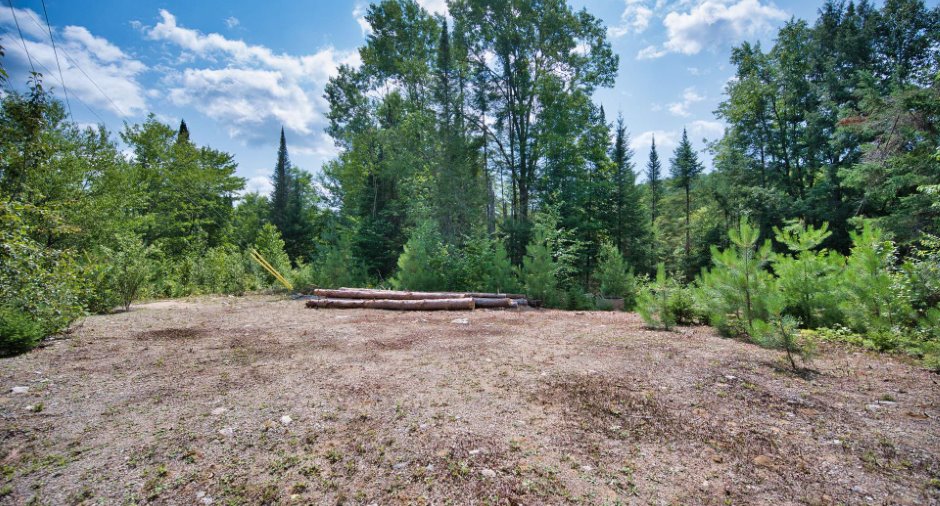 Wooded area